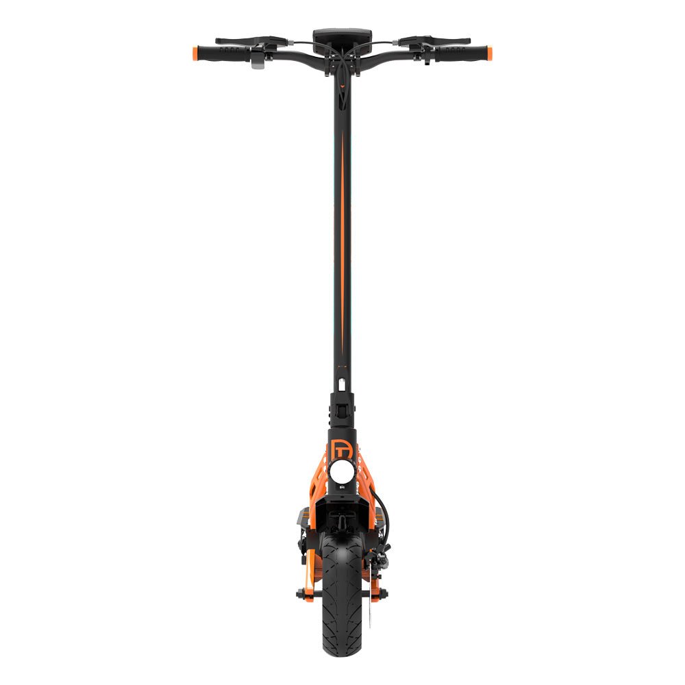 DriveTron DT10 - Dual-motor (48V 20.8Ah)