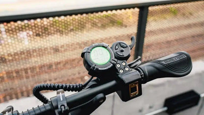 DUALTRON NEW STORM LTD