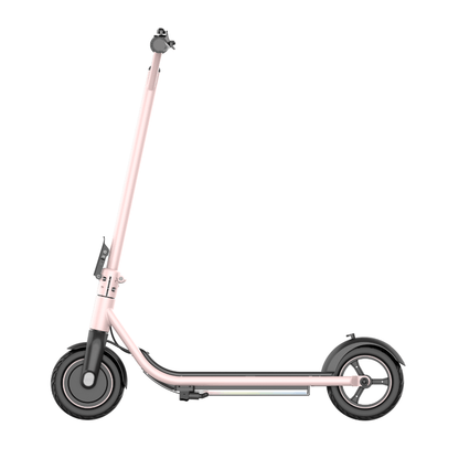 HX C1