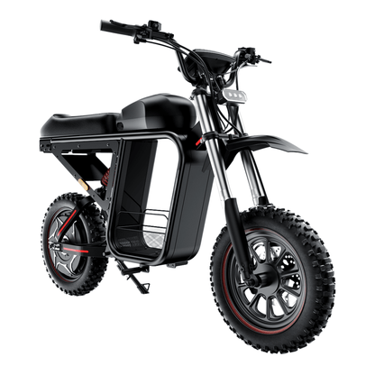 ⁠iScooter DX5 Max