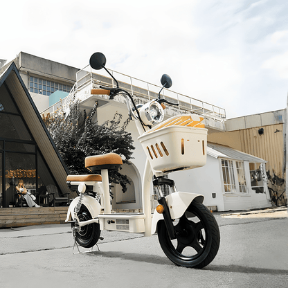 iScooter Y16