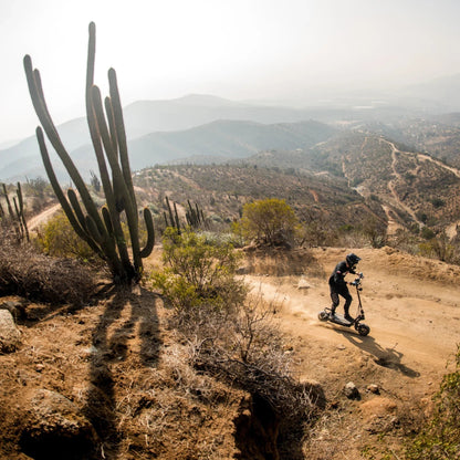 NAMI BURN-E 3