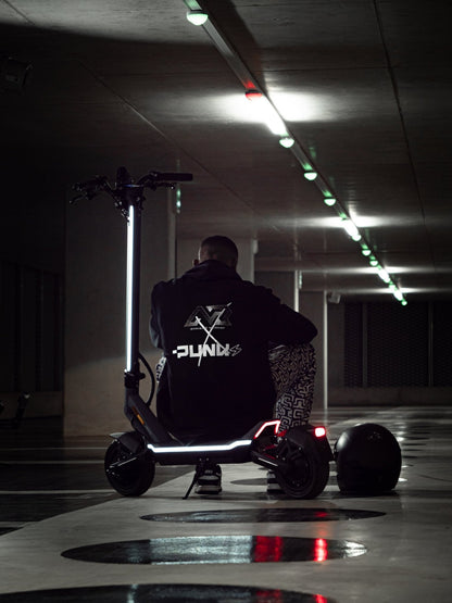 Punk Rider