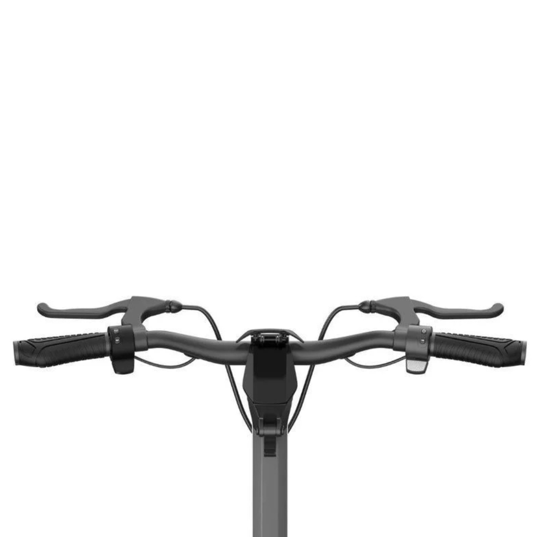 Punk Rider Pro