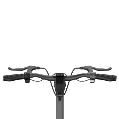Punk Rider Pro