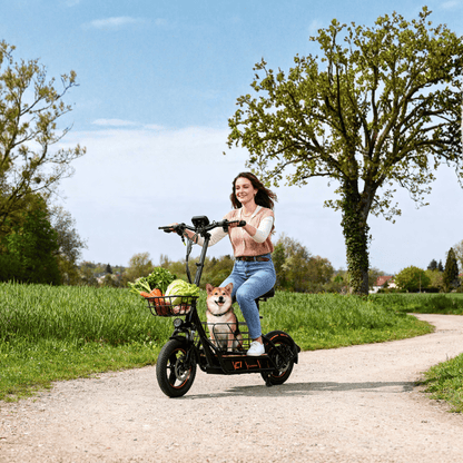 Wheely - H14